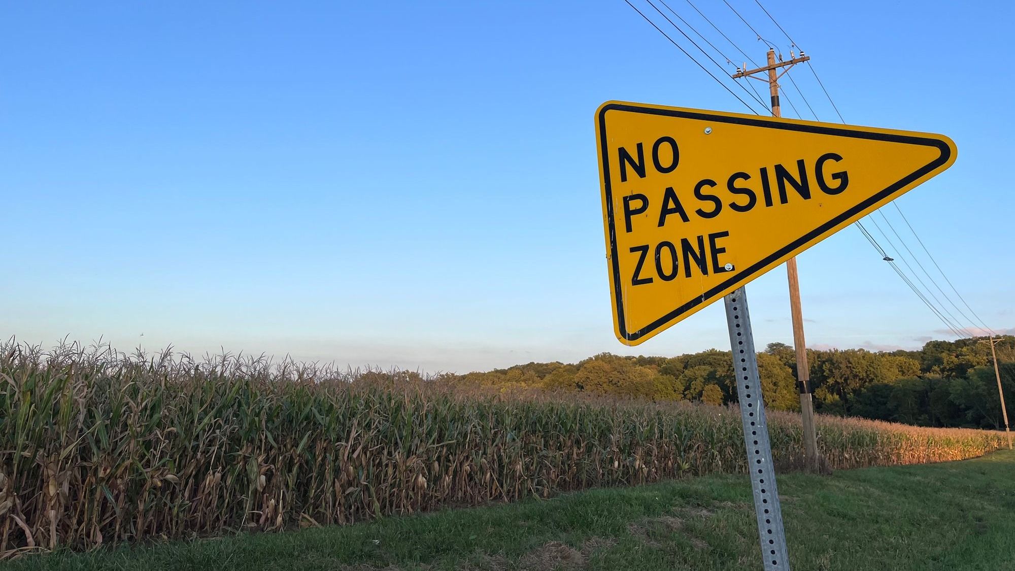 Sign that says 'No Passing Zone' beside corn field at dusk