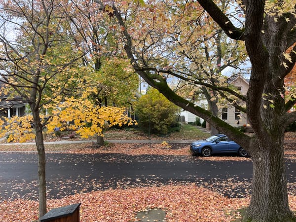 A street covered in leaves during the fall.